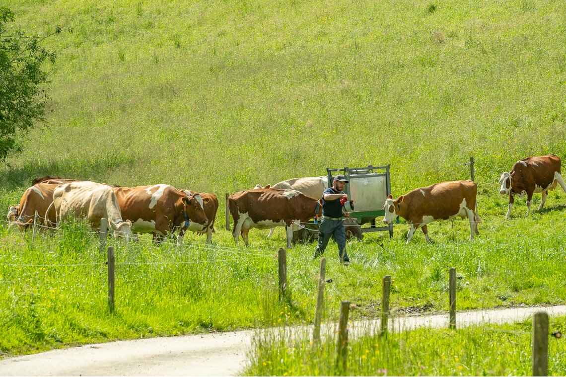 Fam. Isenschmid, Rohrmatt bei Willisau