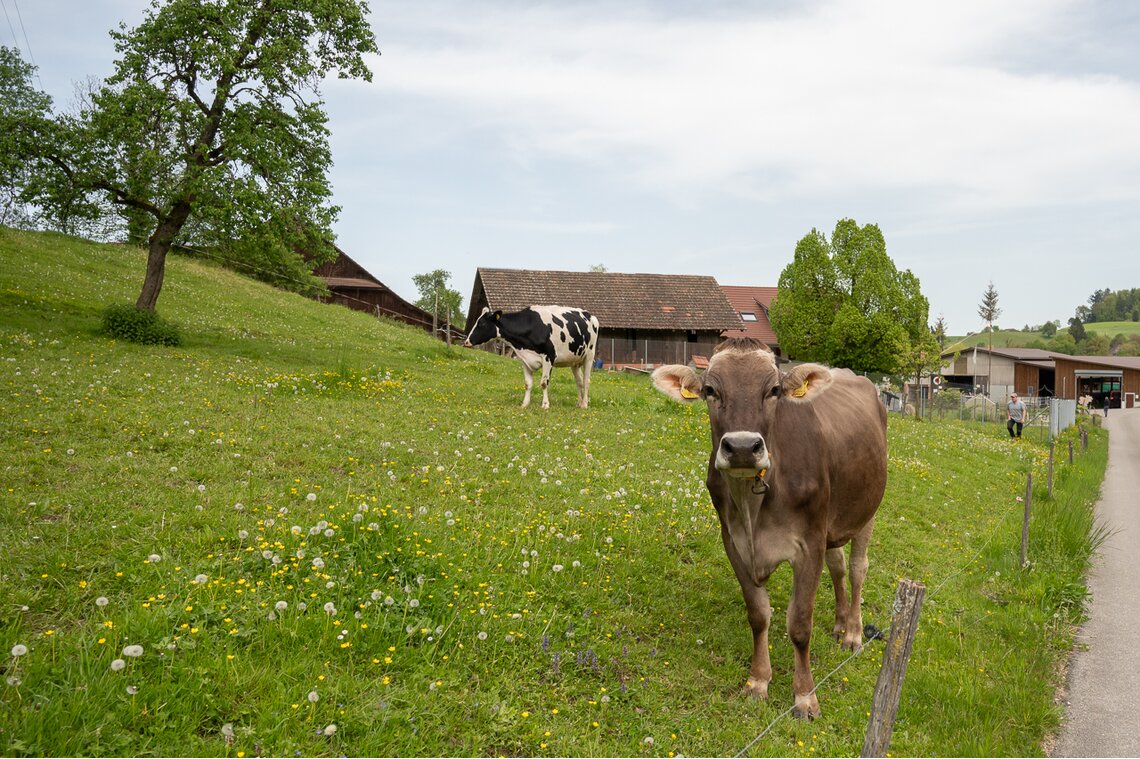 BG Deichselbach-Waldheim, Pfaffnau