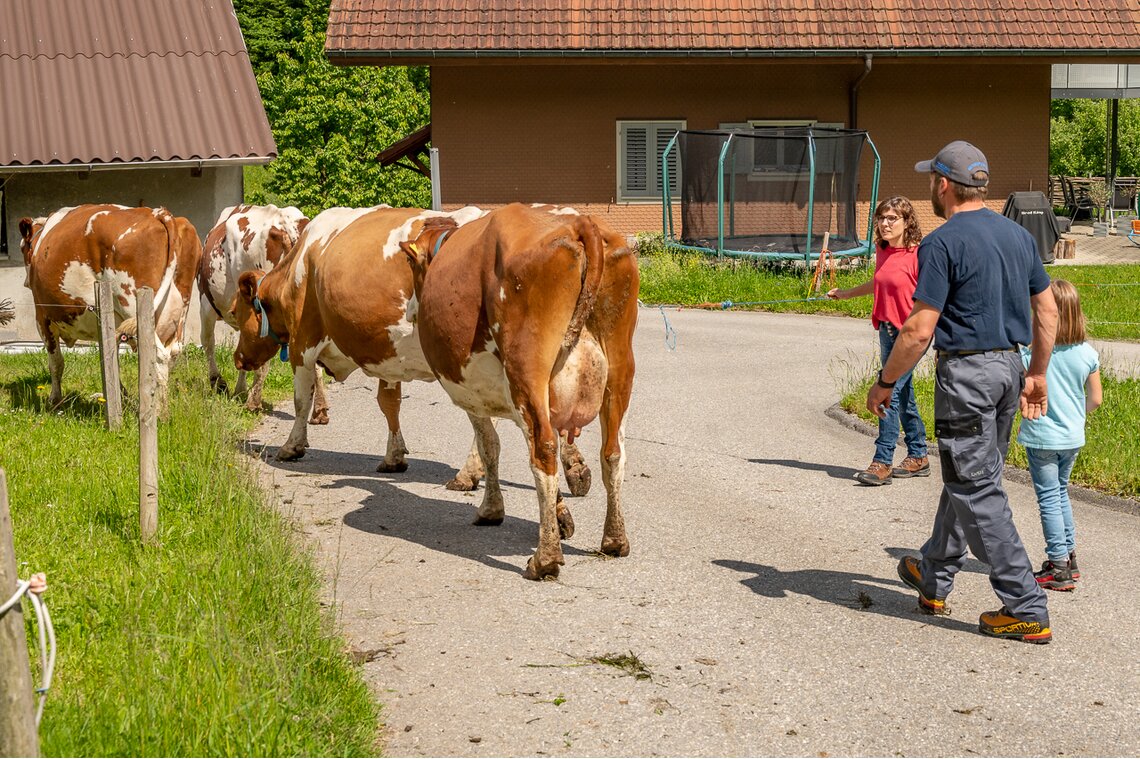 Fam. Isenschmid, Rohrmatt bei Willisau