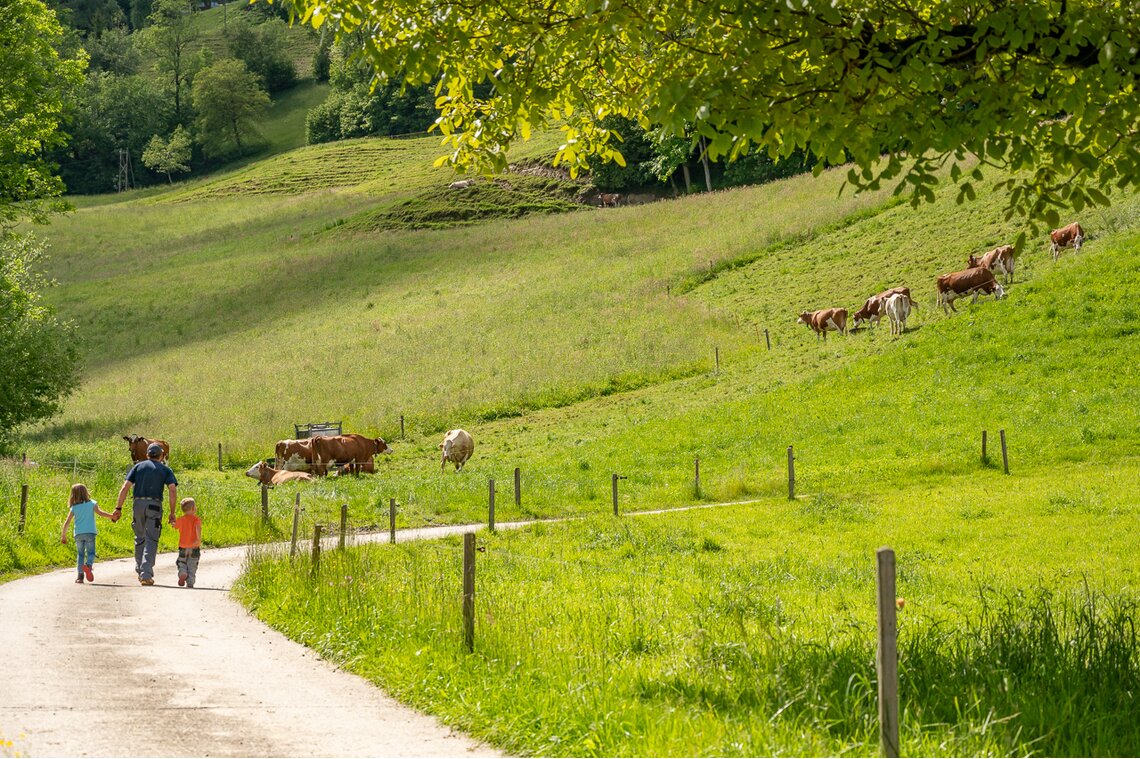 Fam. Isenschmid, Rohrmatt bei Willisau