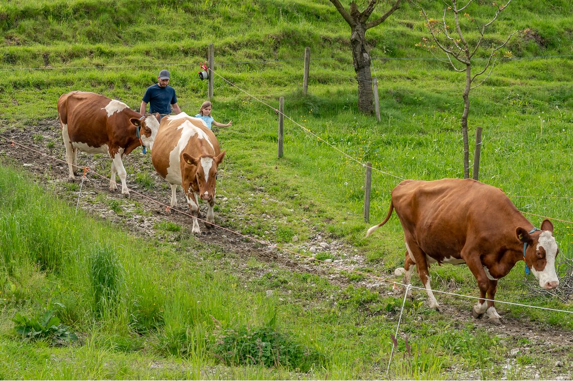 Fam. Isenschmid, Rohrmatt bei Willisau