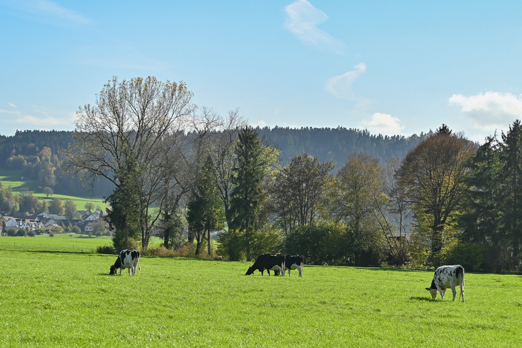 Landschaft Kottwil